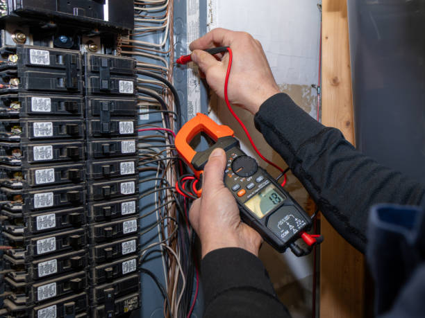 Best Electric Panel Repair  in Franklin, KY
